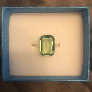 NWT Touchstone Barrington Ring size 10